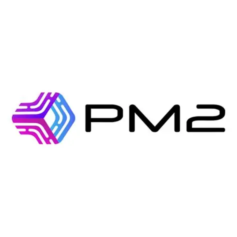 PM2 Logo